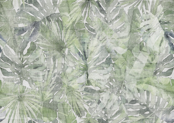 Fitzcarraldo Grey Green Fondo | Wandbilder / Kunst | TECNOGRAFICA