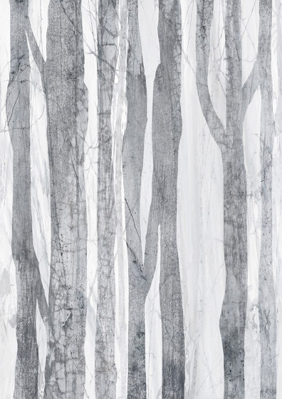 Forest | Wandbilder / Kunst | TECNOGRAFICA