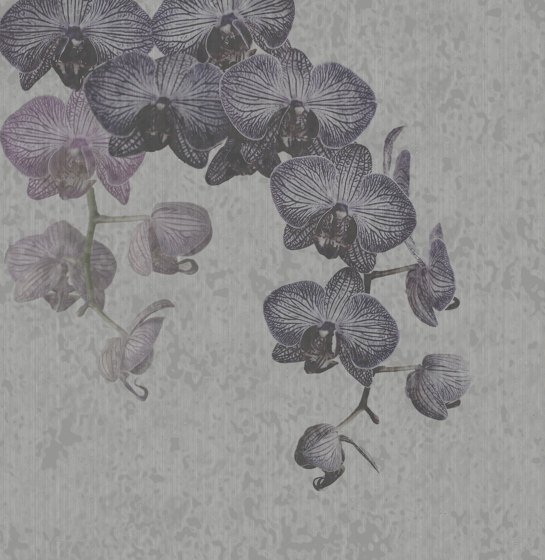 Orchidales | Wandbilder / Kunst | TECNOGRAFICA