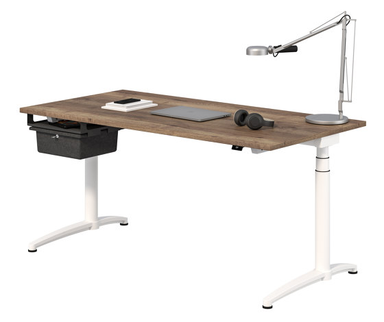 Canvaro Compact Electric height-adjustable Desk | Escritorios | Assmann Büromöbel