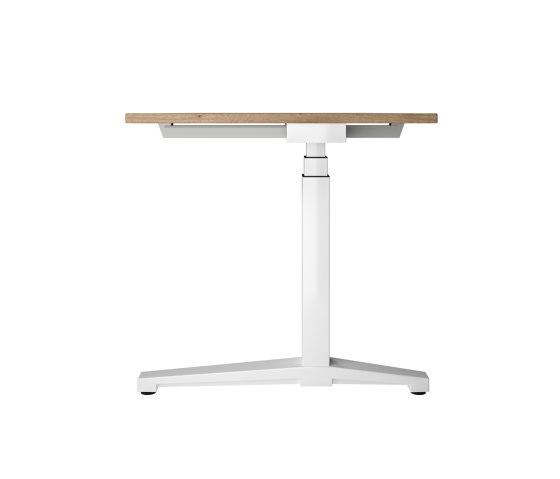 Canvaro Compact Electric height-adjustable Desk | Desks | Assmann Büromöbel