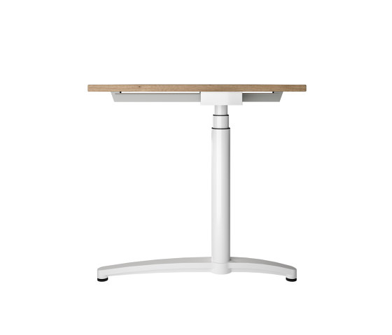 Canvaro Compact Electric height-adjustable Desk | Escritorios | Assmann Büromöbel