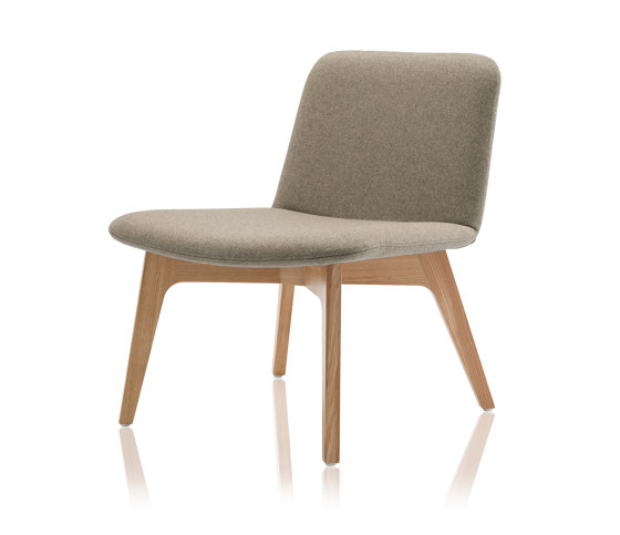 Agent Lounge Chair | Poltrone | Boss Design