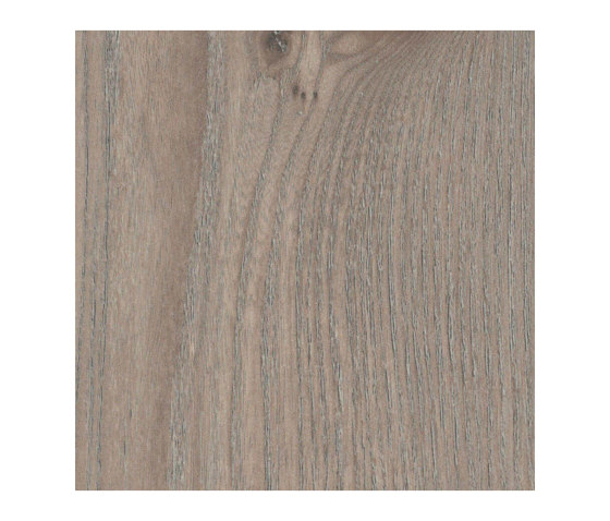 Nelson Oak | Holz Platten | Pfleiderer