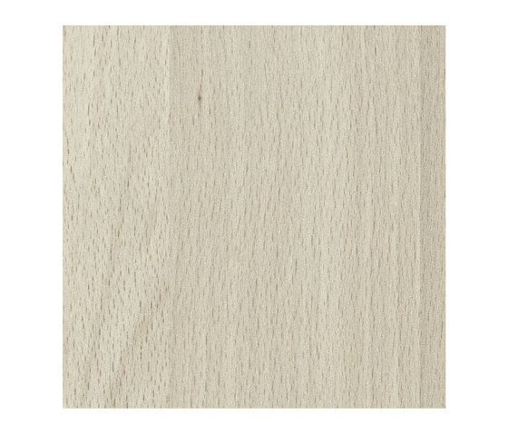 Talinn Beech | Planchas de madera | Pfleiderer