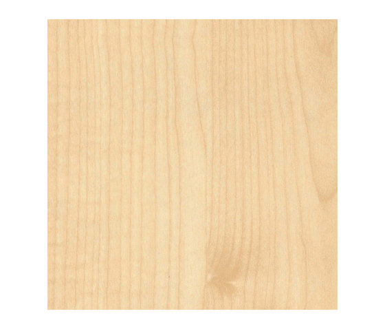 Königsahorn | Holz Platten | Pfleiderer