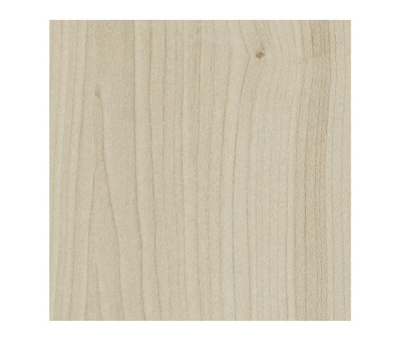Kiruna Maple | Wood panels | Pfleiderer