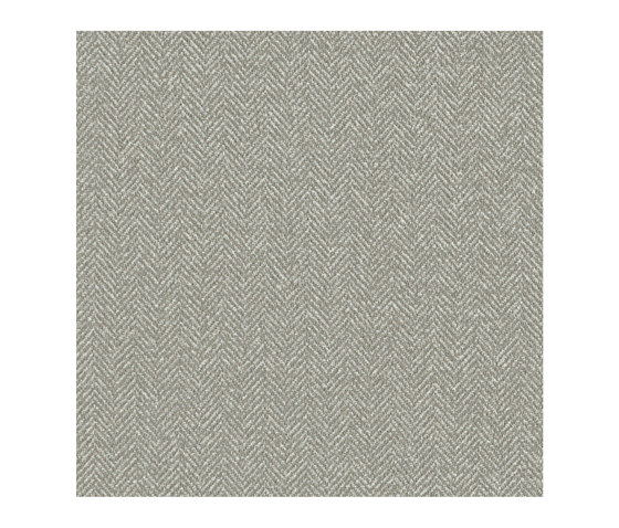 Suit Grey Light | Wood panels | Pfleiderer