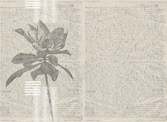 Words And Flowers | Revêtements muraux / papiers peint | LONDONART