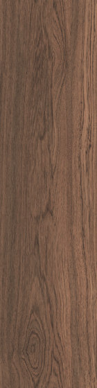 Level Set Natural Woodgrains A00203 Chestnut | Piastrelle plastica | Interface