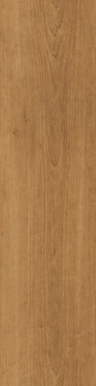 Level Set Natural Woodgrains A00210 Teak | Kunststoff Fliesen | Interface
