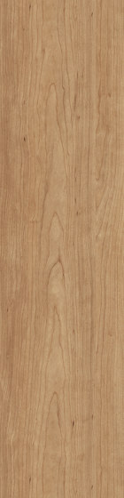 Level Set Natural Woodgrains A00212 Cedar | Kunststoff Fliesen | Interface