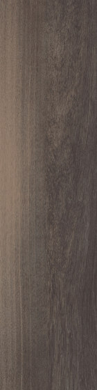 Level Set Textured Woodgrains A00413 Anodized Ash | Baldosas de plástico | Interface