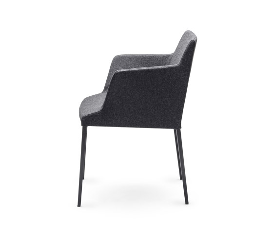Bloom MP | Sillas | CHAIRS & MORE
