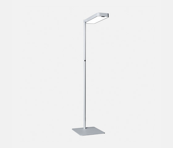 Caleo S3 | Free-standing lights | Lightnet