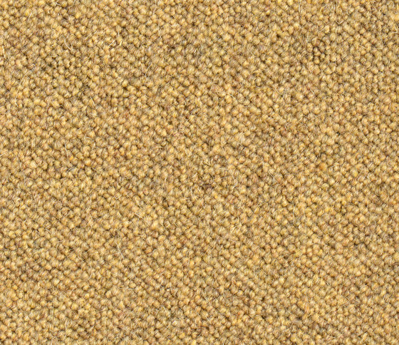 Rollerwool 50072 | Wall-to-wall carpets | Ruckstuhl