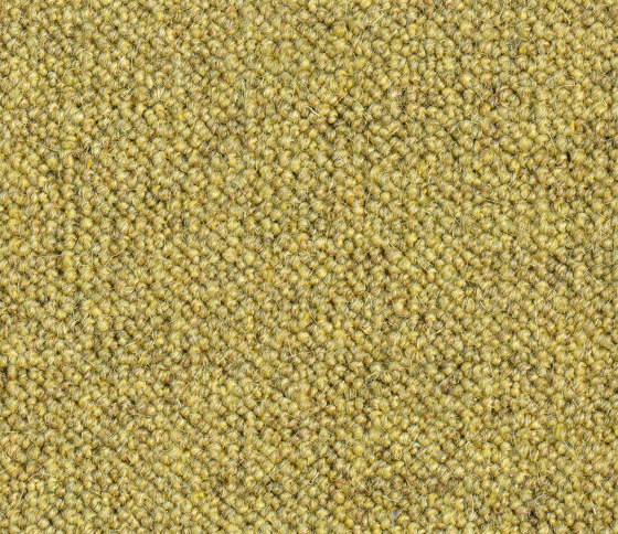 Rollerwool 40203 | Wall-to-wall carpets | Ruckstuhl