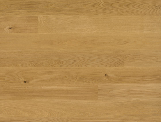 Trendpark Oak 14 | Wood flooring | Bauwerk Parkett