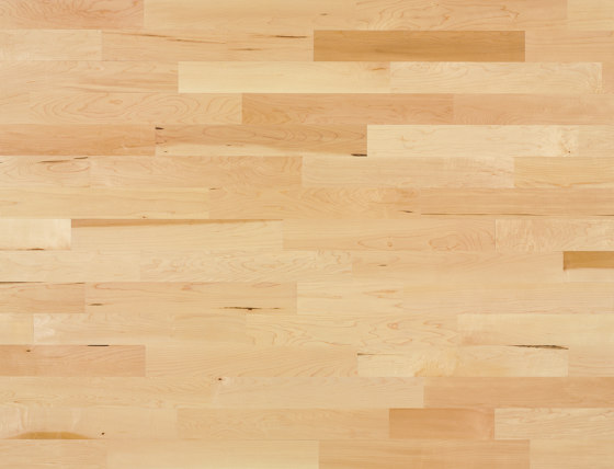 Unopark Maple canadian 15 | Wood flooring | Bauwerk Parkett
