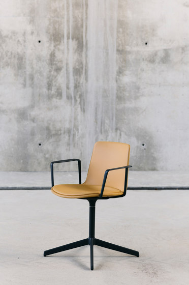 Lottus confident chair | Sedie | ENEA