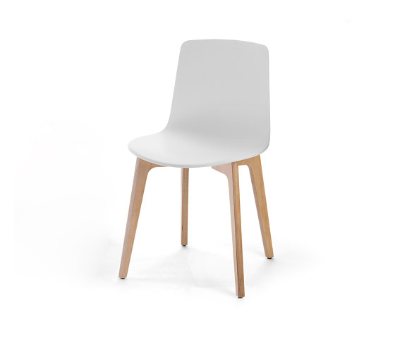 Lottus Wood chair | Sedie | ENEA