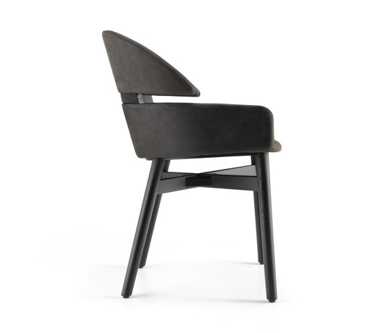 lloyd | Chairs | Fiam Italia