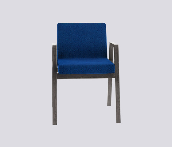 Babela | Chairs | Tacchini Italia