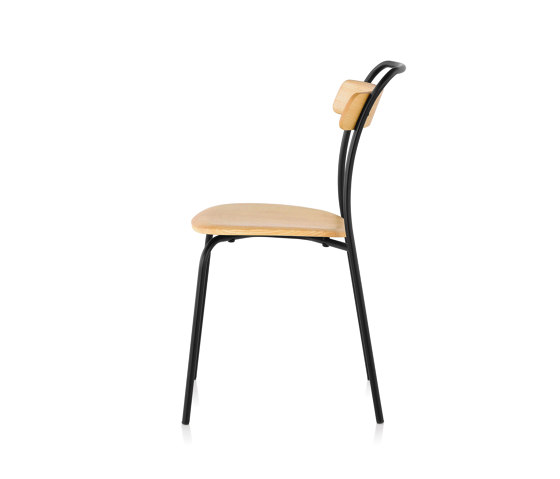 Forcina Chair | MC16 | Sillas | Mattiazzi
