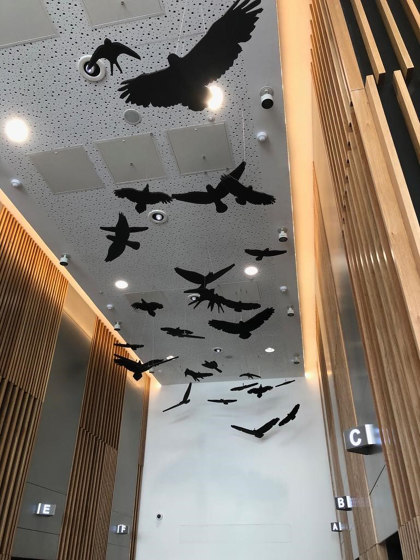Freestyle - Suspended Bespoke Freestyle Ceiling Rafts | Sound absorbing ceiling systems | Soundtect