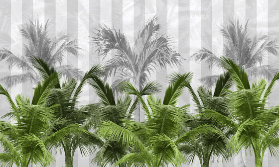 Palms spring | Revestimientos de paredes / papeles pintados | WallPepper/ Group
