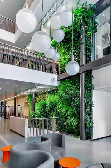 Indoor Vertical Garden | Biomedicum | Living / Green walls | Greenworks