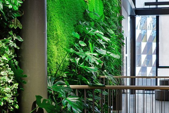 Indoor Vertical Garden | Biomedicum | Murs végétaux | Greenworks
