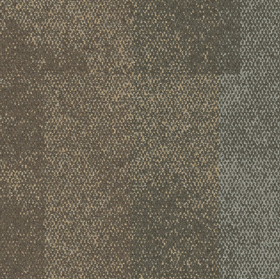 Exposed Soar | Carpet tiles | Interface USA