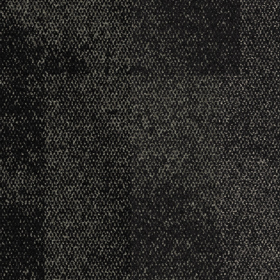 Exposed Zenith | Carpet tiles | Interface USA