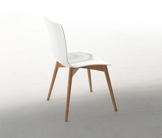 Aria Wood | Stühle | Tonin Casa