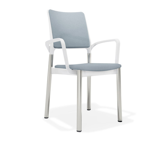 3667/4 Arn | Stühle | Kusch+Co