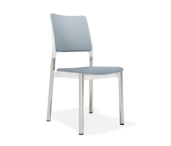 3667/2 Arn | Stühle | Kusch+Co