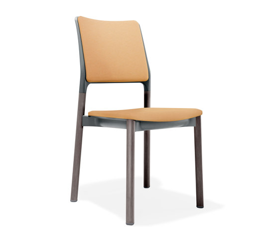 3617/2 Arn | Chairs | Kusch+Co