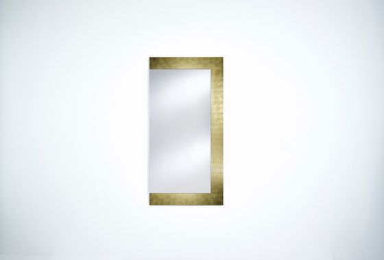 Basic Gold Wing | Espejos | Deknudt Mirrors