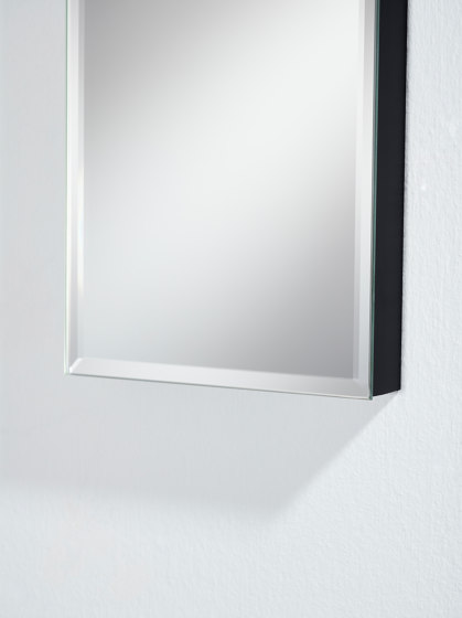 Slim Flex Hall | Miroirs | Deknudt Mirrors
