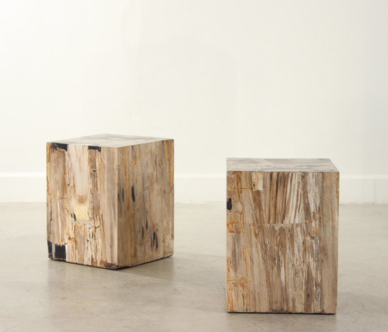 Genuine Petrified Wood Cube Table | Tavolini alti | Pfeifer Studio