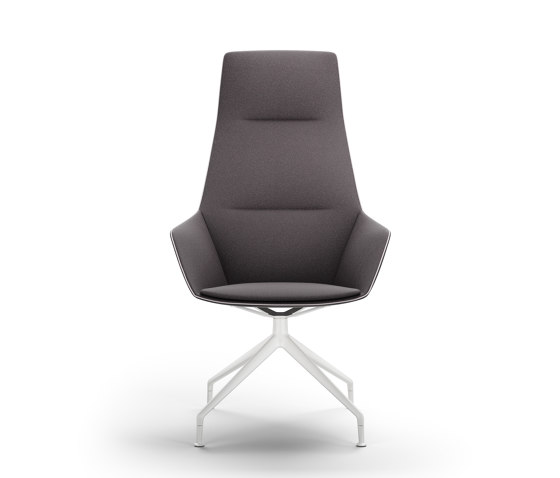 ray soft 9635/A | Chairs | Brunner