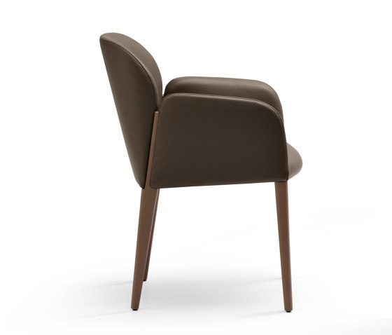 Zip | Stühle | Busnelli