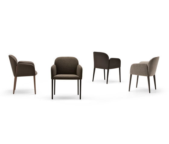Zip | Chairs | Busnelli
