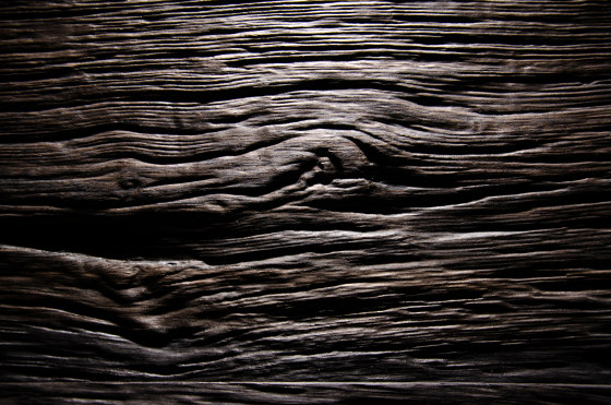 Blockwood Bog Oak | Chapas de madera | VD Holz in Form