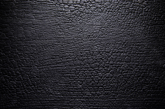 Burned Wood Fineline Black matte lacquered | Chapas de madera | VD Holz in Form
