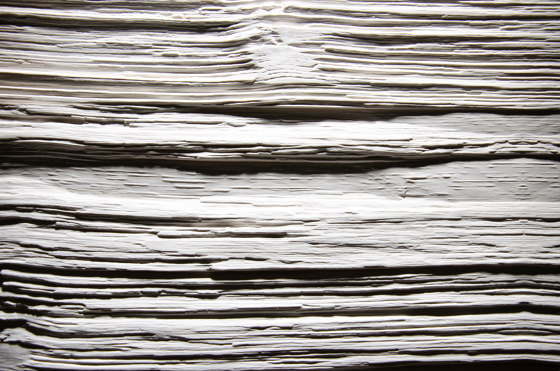 Spalt Fineline White | Chapas de madera | VD Holz in Form