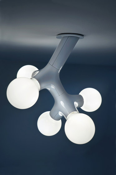 DNA wall / ceiling double | Lampade plafoniere | next