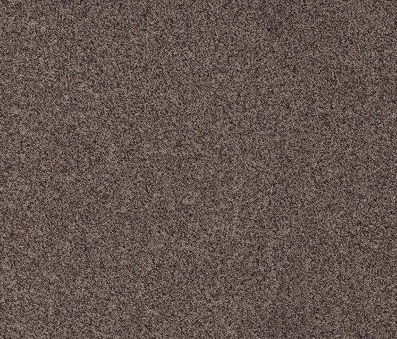 Gleam 398 | Carpet tiles | modulyss