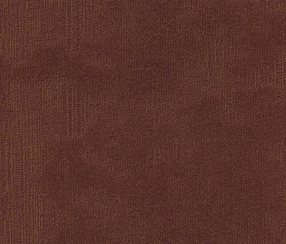 Velvet& 283 | Carpet tiles | modulyss